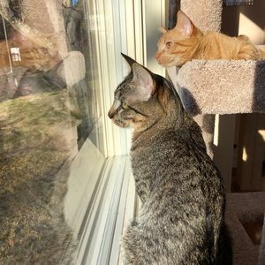 Meet your Posher, Tamara